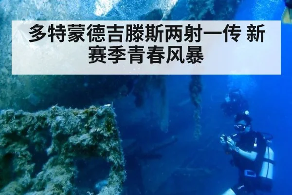 多特蒙德吉滕斯两射一传 新赛季青春风暴